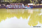 Boat station on Kura (Mtkvari) river - Tbilisi Georgia Sakartvelo Caucasus Black Sea Saqartvelo