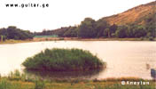 Turtles lake - Tbilisi Georgia Sakartvelo Caucasus Black Sea Saqartvelo